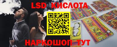 a pvp Свободный