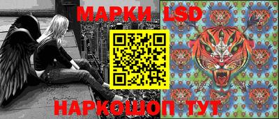 a pvp Свободный