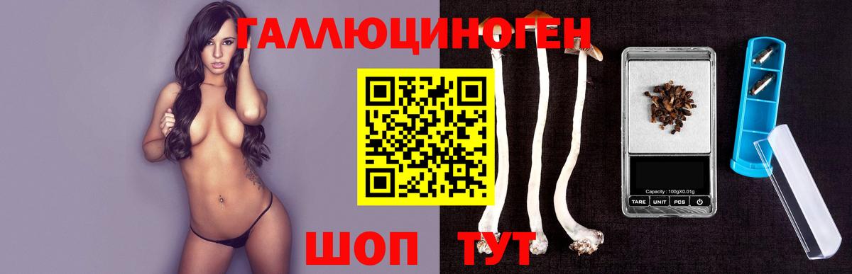 Галлюциногенные грибы мухоморы Северобайкальск